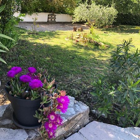 Villa Quinissole Sainte-Anastasie-sur-Issole Bagian luar foto